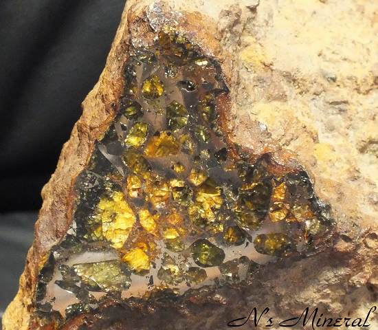Brahin (Pallasite)