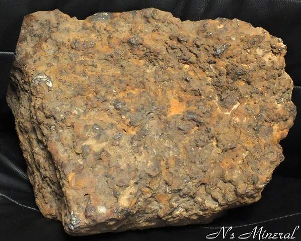 Brahin (Pallasite)