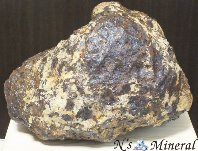 Brenham (Pallasite)