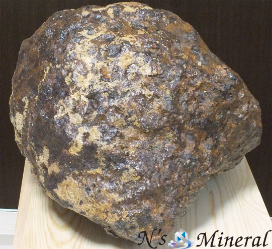 Brenham (Pallasite)