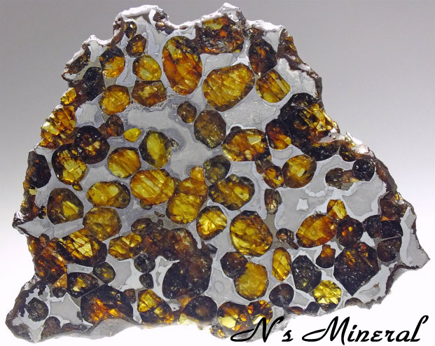 Springwater (Pallasite)