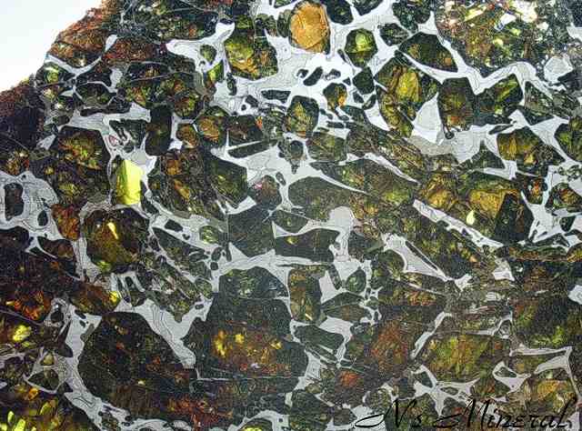 Albin (Pallasite)