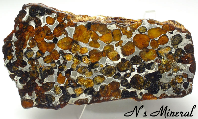 Sericho (Pallasite)