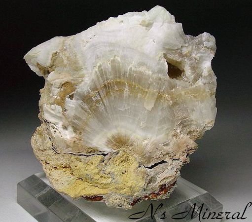 �Ő�/Aragonite