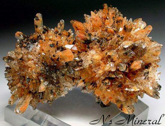�N���[�h��/Creedite