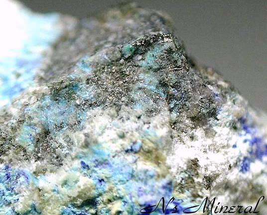 ���n�z/Kusachiite