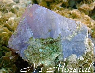 �D�d��/Scheelite