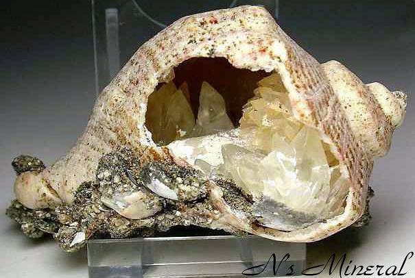 �L����/�J���T�C�g/Calcite