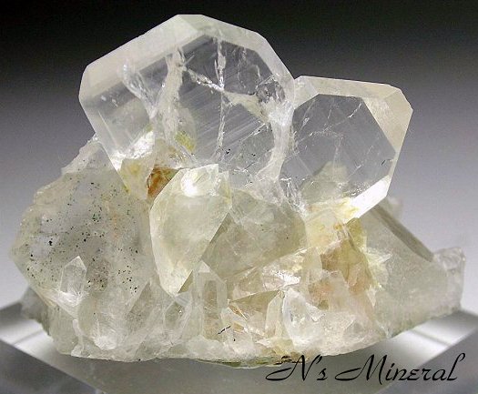 ���{���o��/Japan Law Twin Quartz