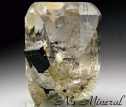�g�p�[�Y/Topaz