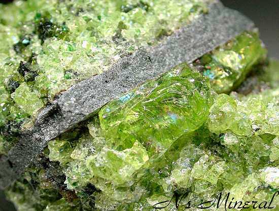 �y���h�b�g/Peridot