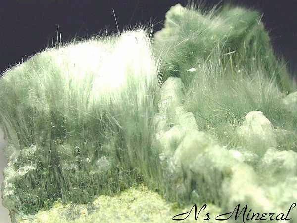 �r�b�\���C�g/Byssolite