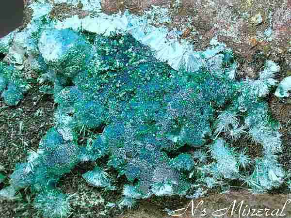 �v�����w��/Plancheite