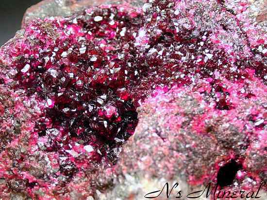 ���[�Y��/Roselite