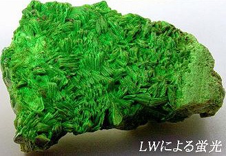 �ӊD�E�����z/Autunite