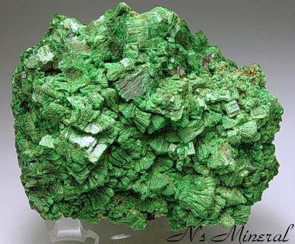 �ӓ��E�����z/Torbernite