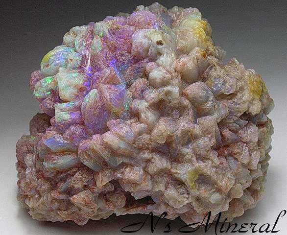 �p�C�i�b�v���I�p�[��/Opal