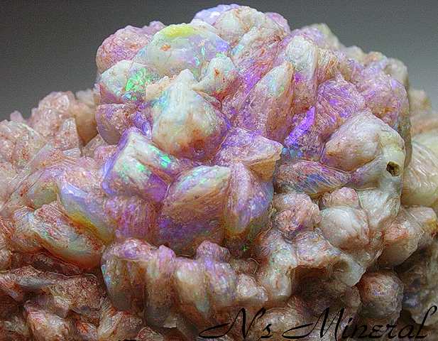 �p�C�i�b�v���I�p�[��/Opal
