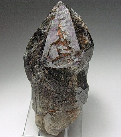 �R�x�������萅��/Covellite in Quartz