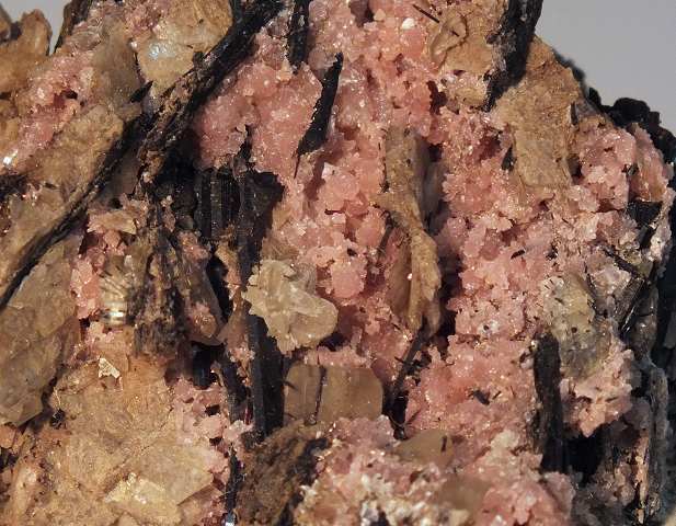 �A���V���C�g/Ancylite-(Ce)/�����[�R�t�F�i�C�g/Leucophanite