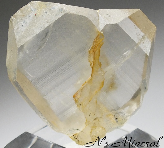 ���{���o��/Japan Law Twin Quartz