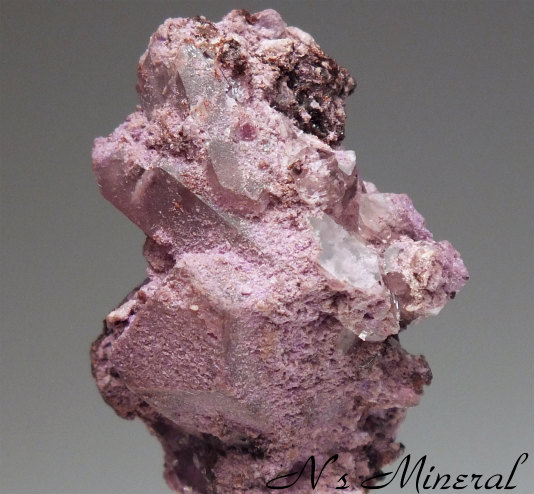 ���Γ��萅��/Sugilite in Quartz
