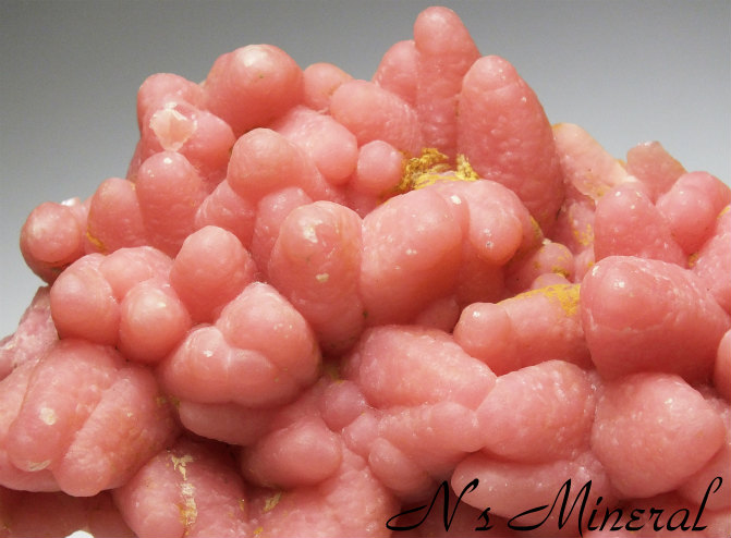 �H�}���K���z/Rhodochrosite