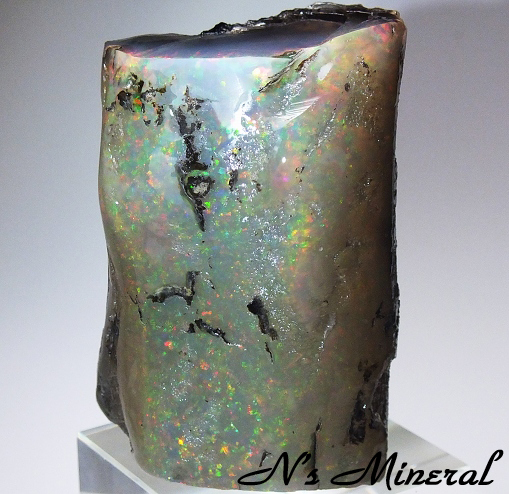�I�p�[��(�E�b�h�I�p�[��)/Opal