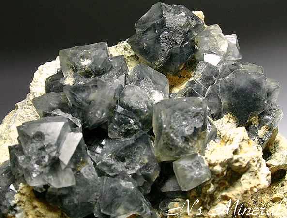 �x�[�^�N�H�[�c/Beta Quartz