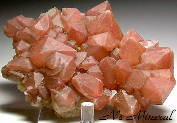 �X�g���x���[�N�H�[�c/Strawberry Quartz