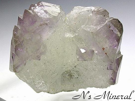 ���{���o��/Japan Law Twin Quartz