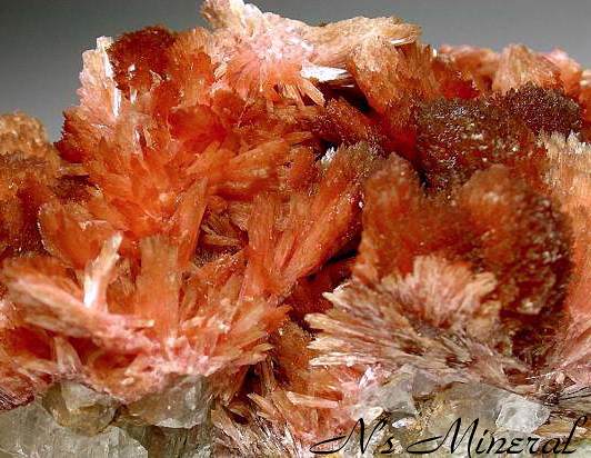 �C�l�X��/Inesite